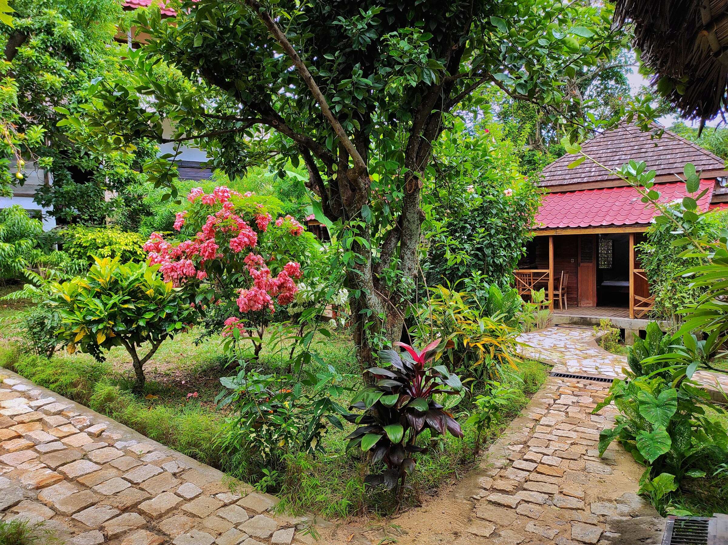 Allée pavée du jardin tropical de l’hôtel Benjamin, entre fleurs et arbres fruitiers